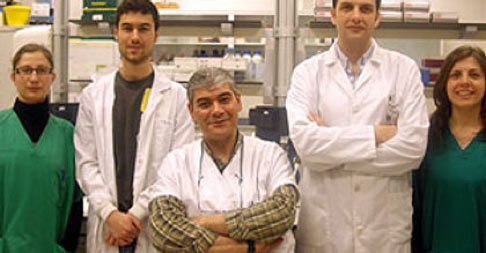 • Descubrimento das propiedades antiartrósicas do Oleocantal